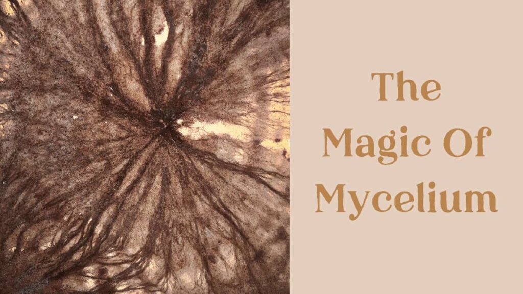 The Mycelial Network: Uses, Benefits, and Science of Mycelium