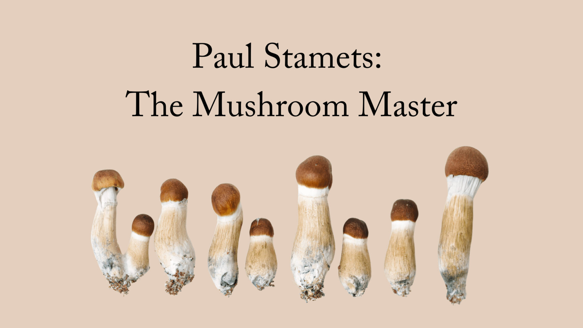 paul stamets the mushroom master